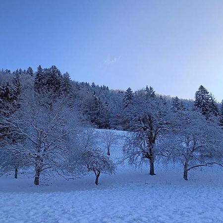 Gite Coeur De Haute-Savoie Viuz-en-Sallaz Ngoại thất bức ảnh