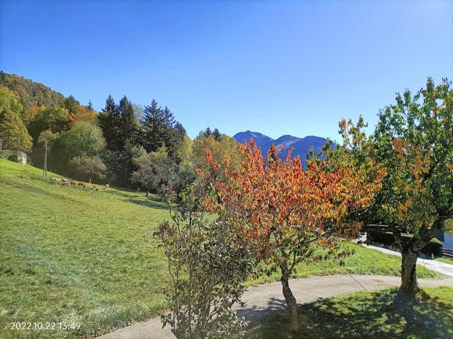 Gite Coeur De Haute-Savoie Viuz-en-Sallaz Ngoại thất bức ảnh