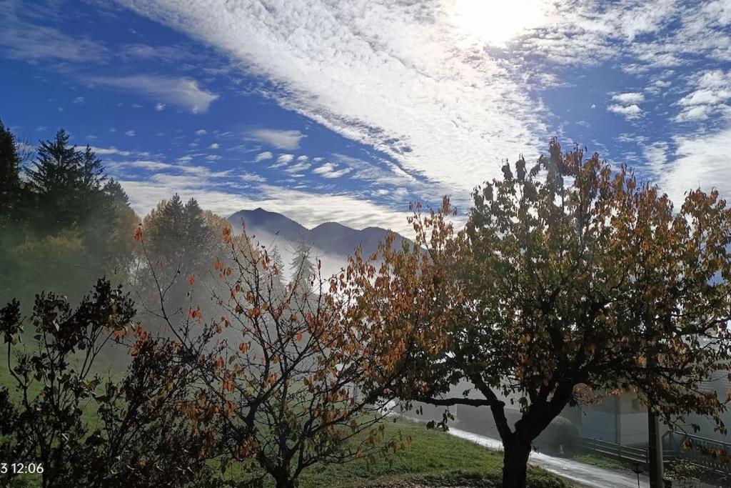 Gite Coeur De Haute-Savoie Viuz-en-Sallaz Ngoại thất bức ảnh